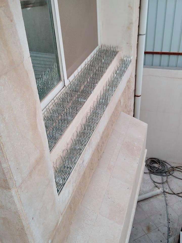 ماهو طارد الحمام والطيور اتصل على 0580179650